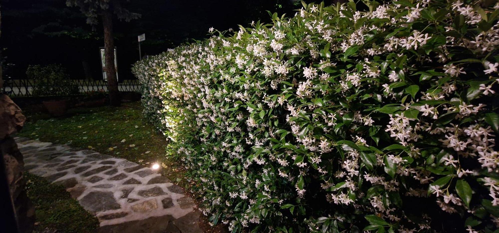Bed & Breakfast Casa Tessieri Lucca